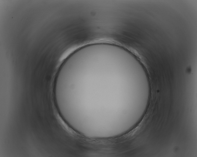 X0000091731422200708241033