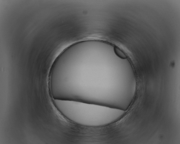 X0000091731423200708241033