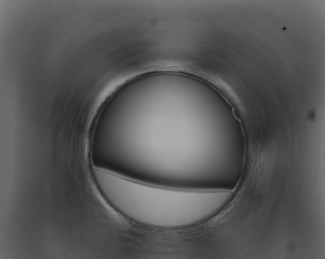X0000091731424200708241033