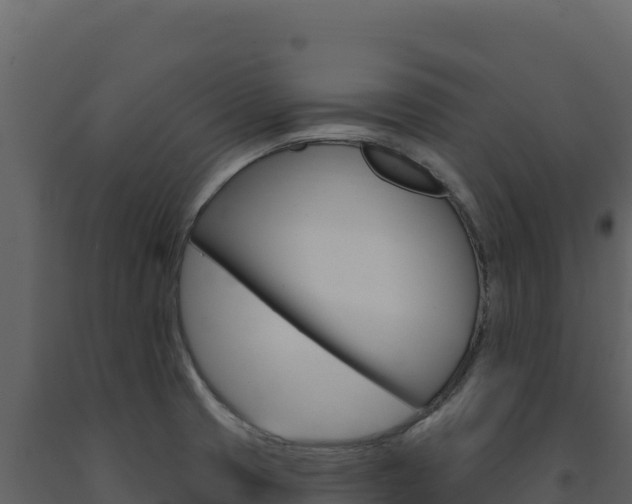 X0000091731425200708241033