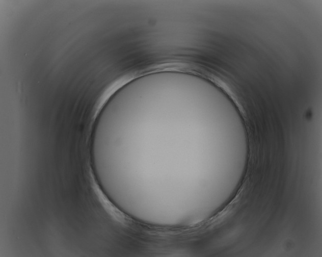 X0000091731426200708241033