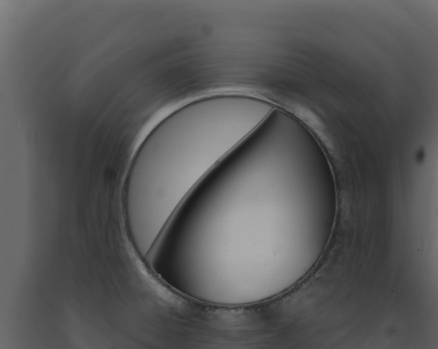 X0000091731428200708241033