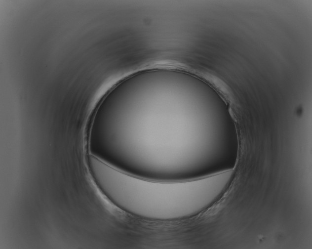 X0000091731430200708241033