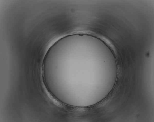 X0000091731431200708241033