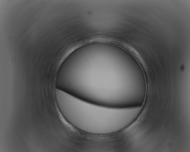 X0000091731433200708241033
