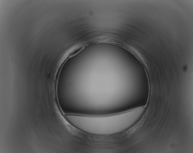 X0000091731434200708241033
