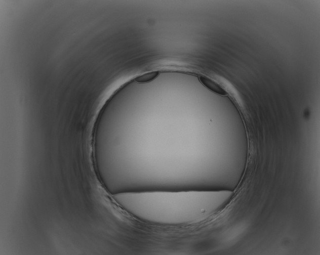 X0000091731435200708241033