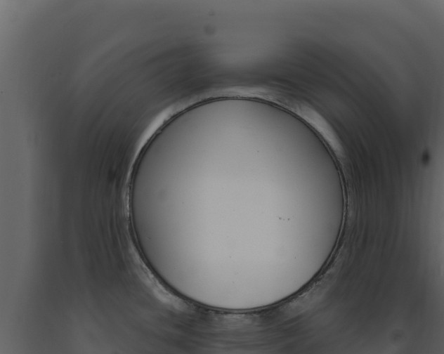 X0000091731436200708241033