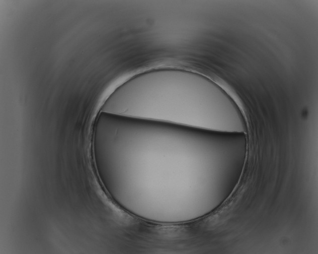 X0000091731437200708241033