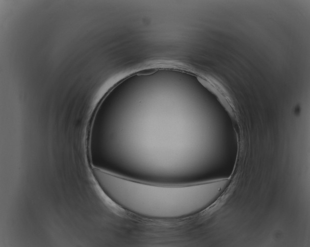 X0000091731438200708241033
