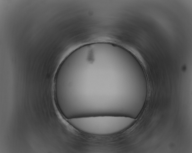 X0000091731439200708241033