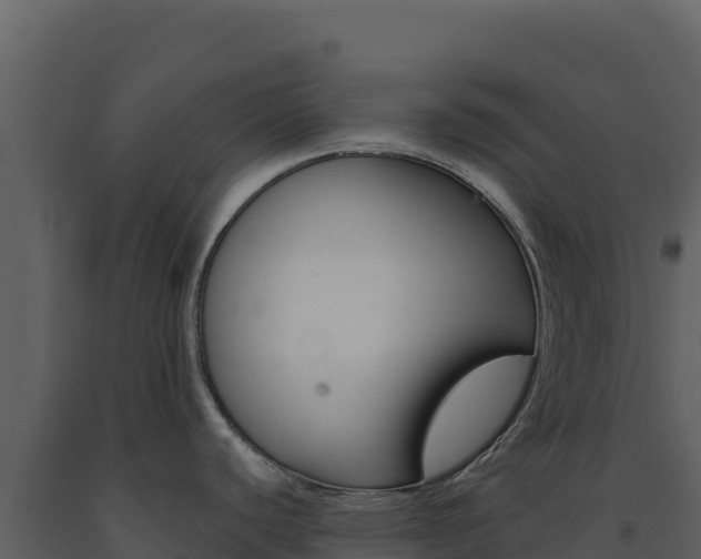 X0000091731440200708241033