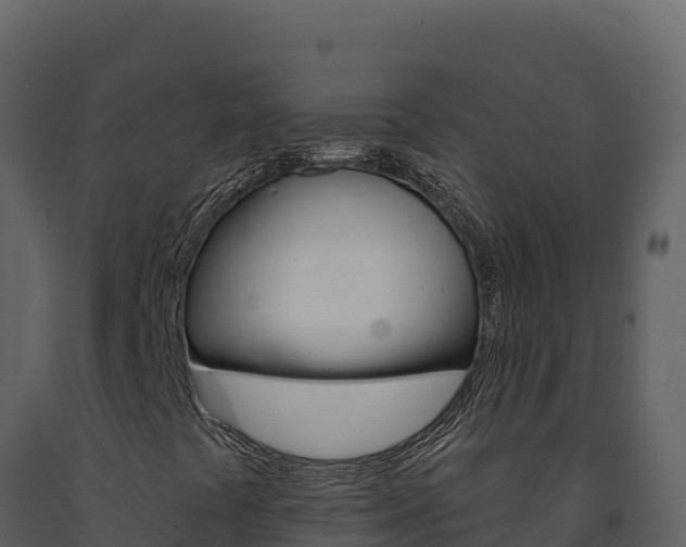 X0000091731441200708241032