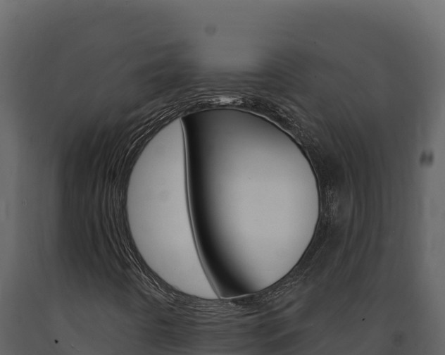 X0000091731442200708241032