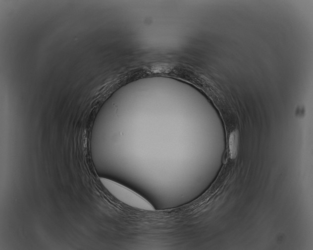 X0000091731443200708241032