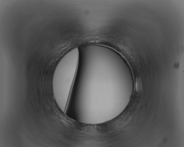 X0000091731444200708241032