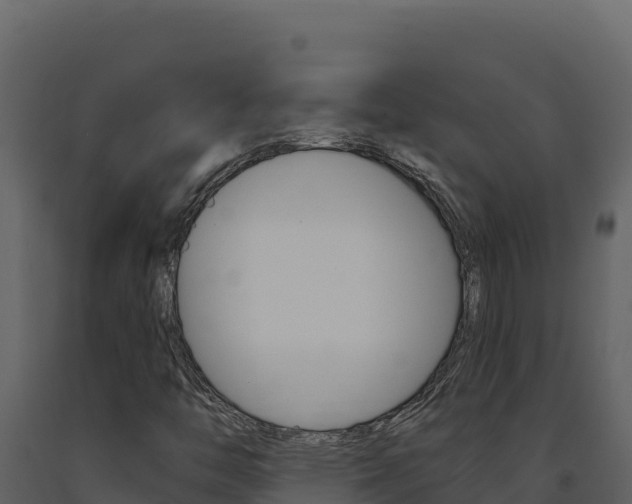 X0000091731446200708241032