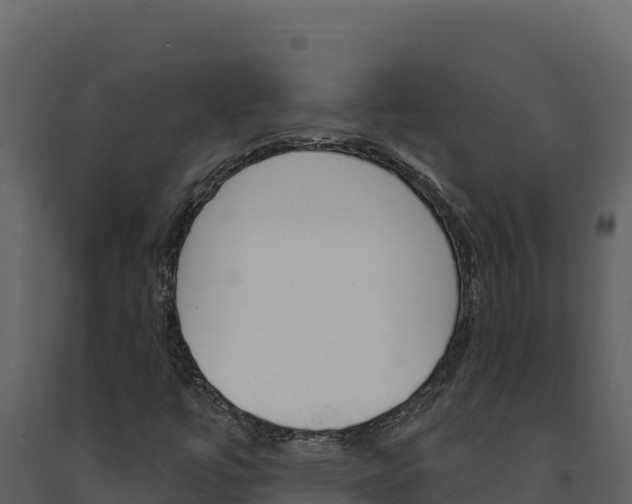X0000091731447200708241032