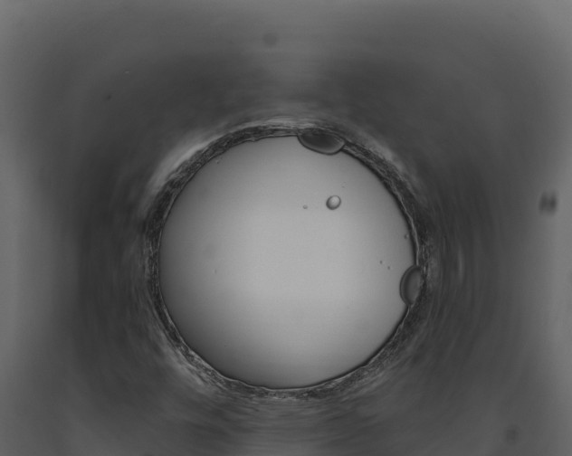 X0000091731448200708241032