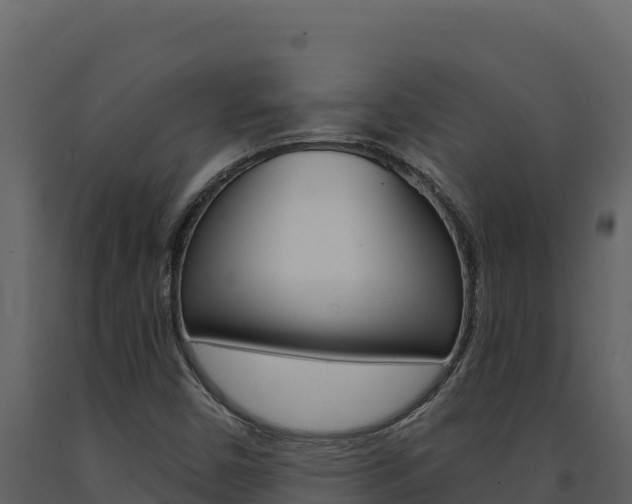 X0000091731450200708241032
