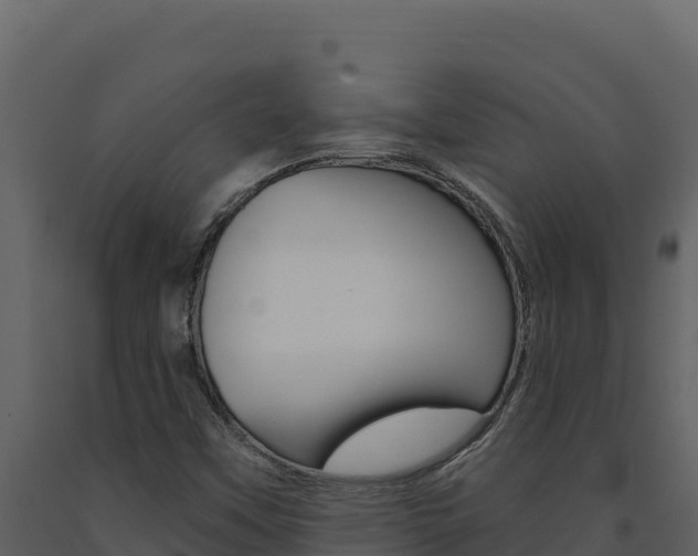 X0000091731451200708241032