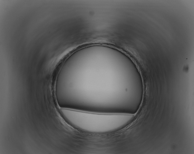 X0000091731452200708241032