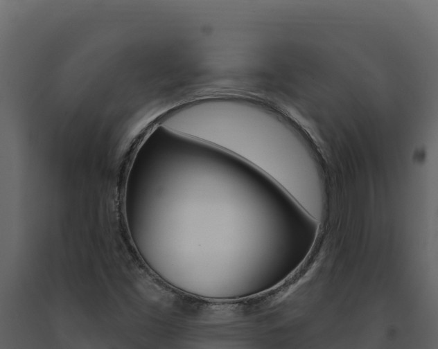 X0000091731453200708241032