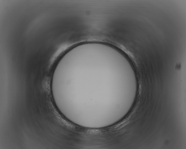 X0000091731454200708241032
