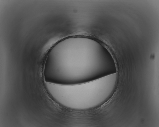 X0000091731455200708241032