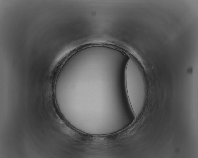 X0000091731456200708241032