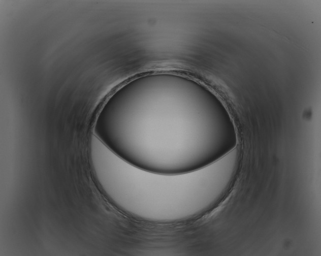 X0000091731457200708241032
