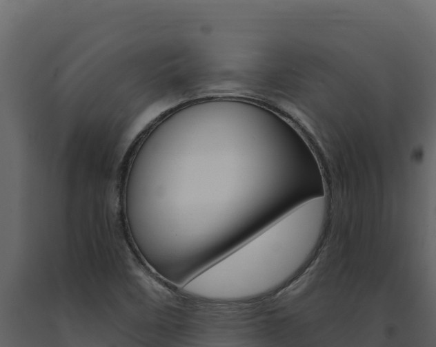 X0000091731458200708241032