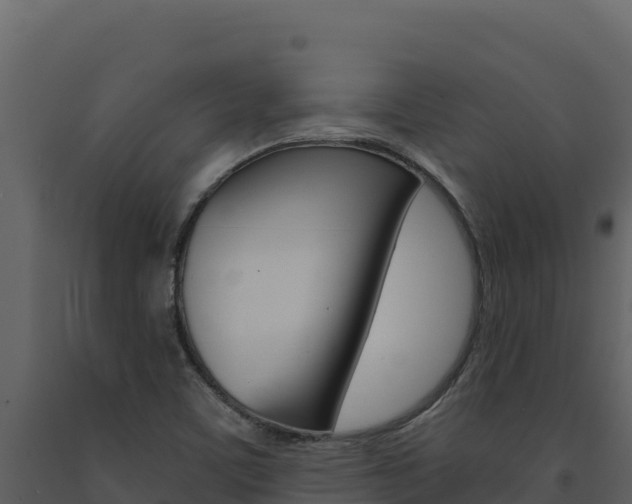 X0000091731459200708241032