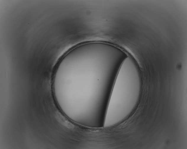 X0000091731460200708241032
