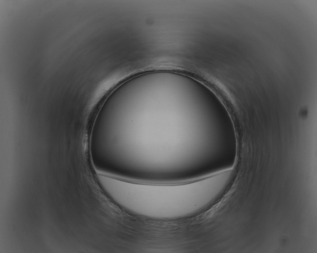 X0000091731461200708241032