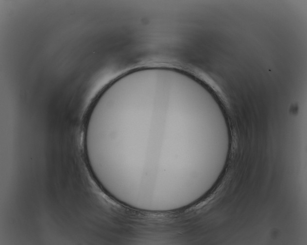X0000091731462200708241032