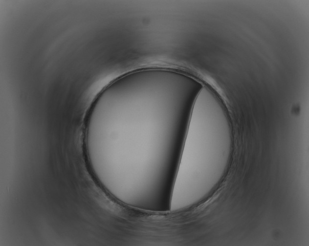 X0000091731463200708241032