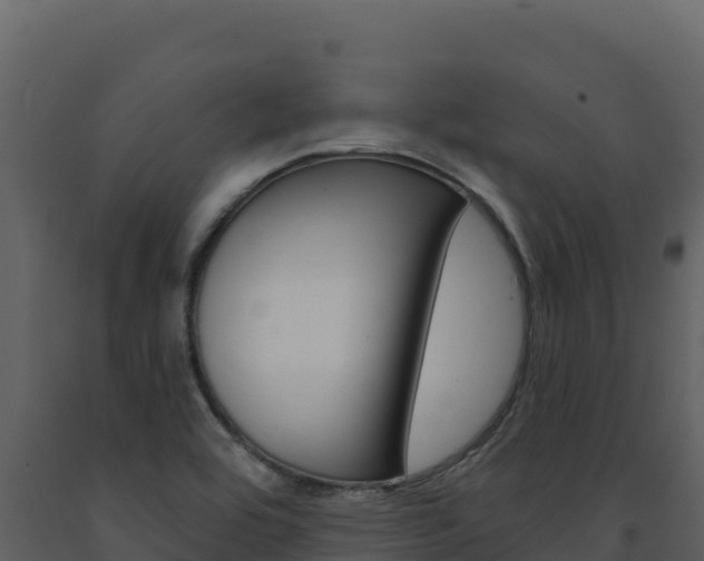 X0000091731464200708241032