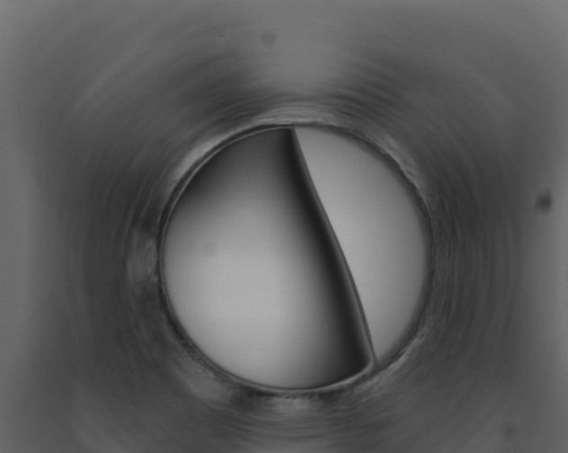 X0000091731465200708241032