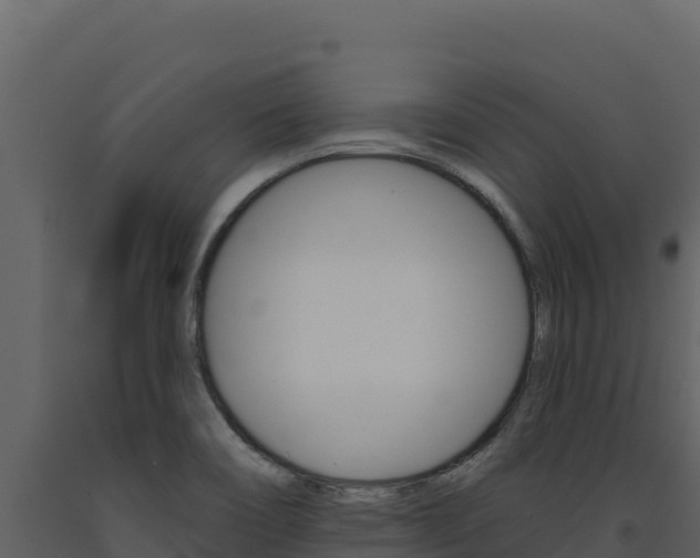 X0000091731466200708241032