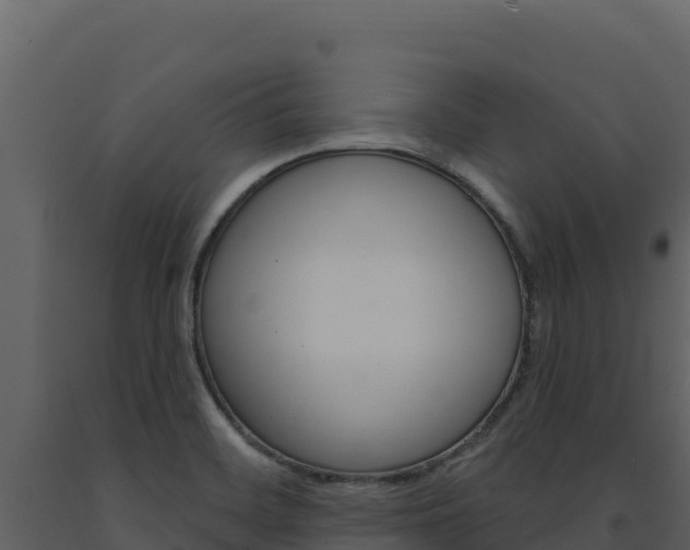 X0000091731468200708241032