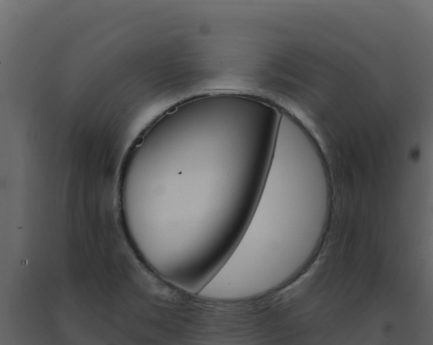 X0000091731469200708241032