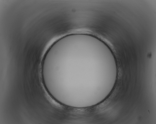 X0000091731470200708241032
