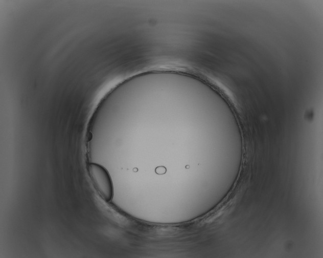 X0000091731471200708241032
