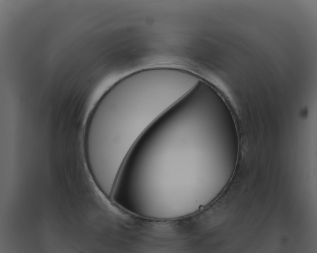 X0000091731472200708241032