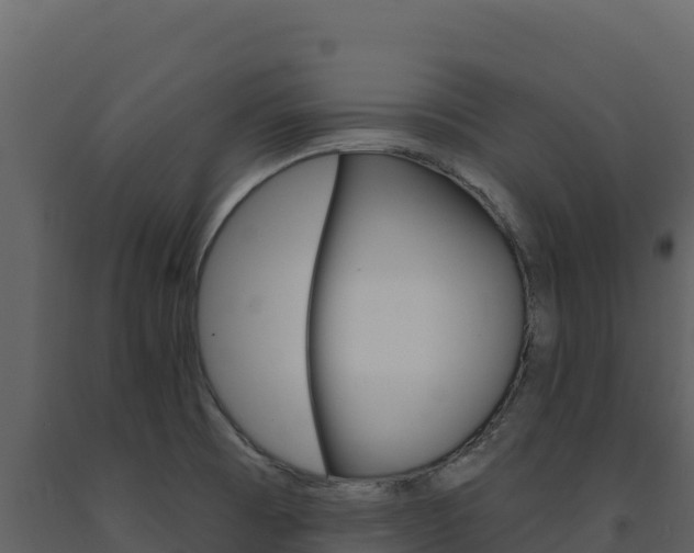X0000091731473200708241032