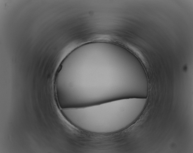 X0000091731475200708241032