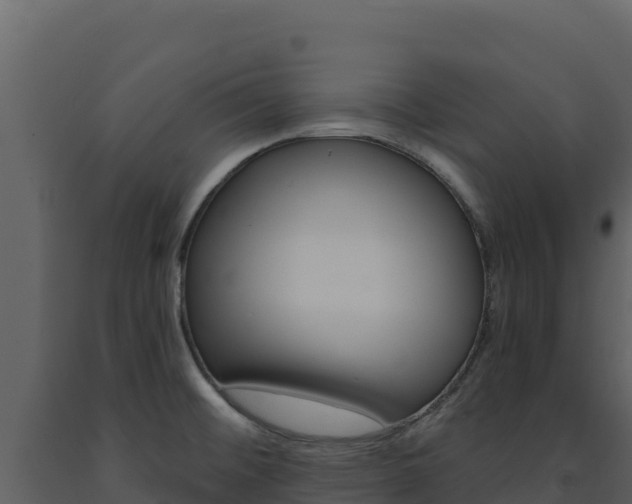 X0000091731476200708241032