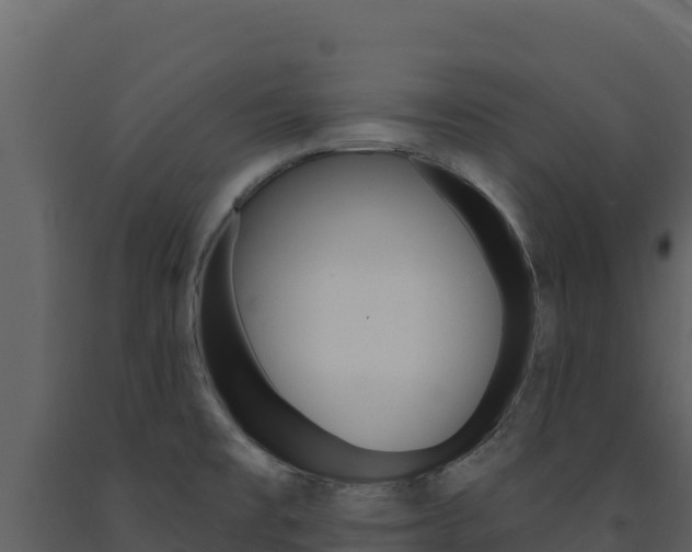 X0000091731477200708241032