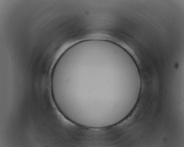 X0000091731478200708241032